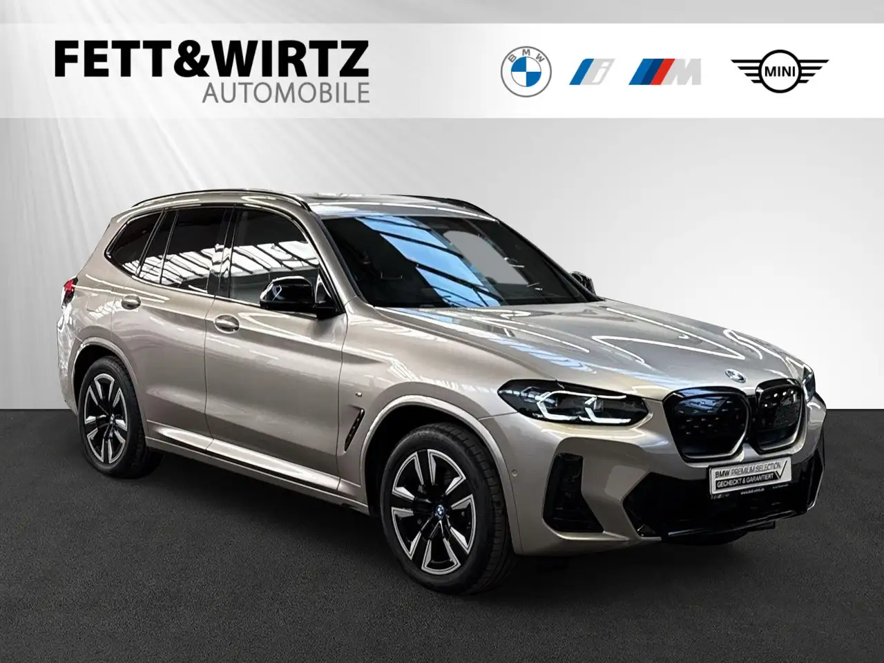 BMW iX3