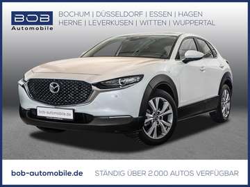 2.0 Aut. Selection 2WD 360° TOTW SHZ LHZ