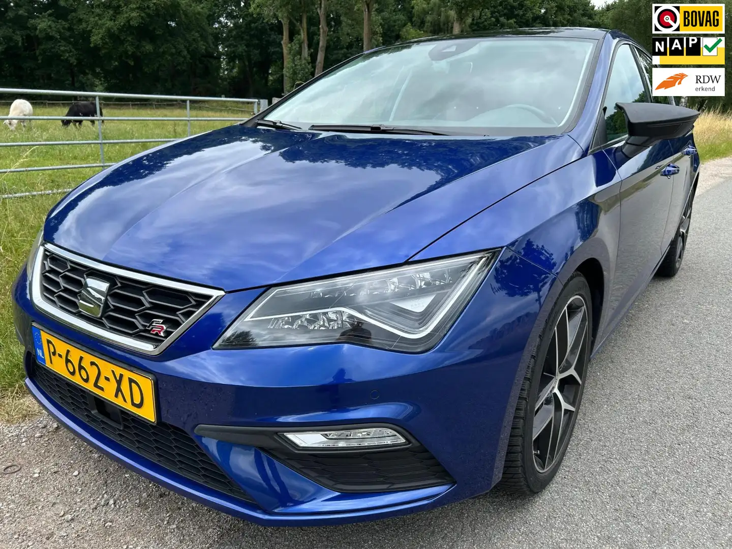 SEAT Leon 1.5 TSI FR Business Intense AUTOMAAT schuifdak vol Blauw - 1