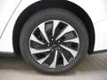 Ford Focus Turnier 1.0 EcoBoost MHEV Titanium/KAMERA/ Weiß - thumbnail 5