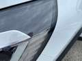 Renault Captur 1.5 Blue dCi - 115  Business Weiß - thumbnail 37
