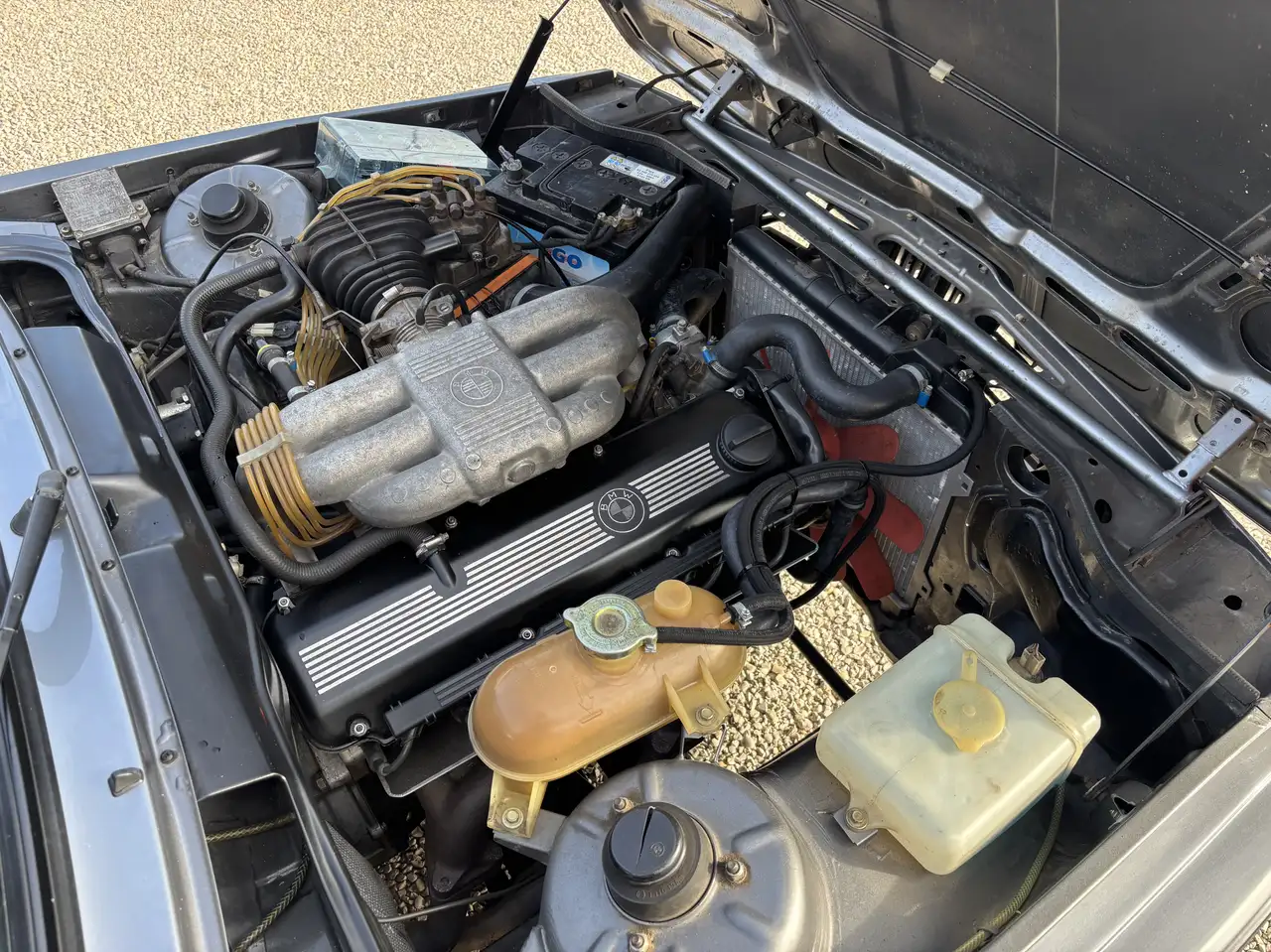 BMW 323, foto 3
