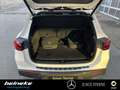 Mercedes-Benz EQA 250 EQA 250 Progressive Adv. LED Totwink. Winter RFK Weiß - thumbnail 17
