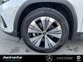 Mercedes-Benz EQA 250 EQA 250 Progressive Adv. LED Totwink. Winter RFK Weiß - thumbnail 16
