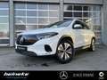 Mercedes-Benz EQA 250 EQA 250 Progressive Adv. LED Totwink. Winter RFK Weiß - thumbnail 2