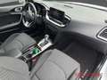 Kia Ceed / cee'd Sportswagon 1.6 Plug-in Hybrid Vision GJR Weiß - thumbnail 11