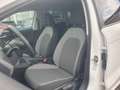 SEAT Ibiza 1.0 TSI 90PS Navi ACC LED FullLink TÜV Neu Blanc - thumbnail 10