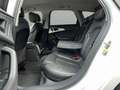 Audi A6 3.0 TDI S-Line Head-up Belüftung AHK Memory Blanc - thumbnail 24
