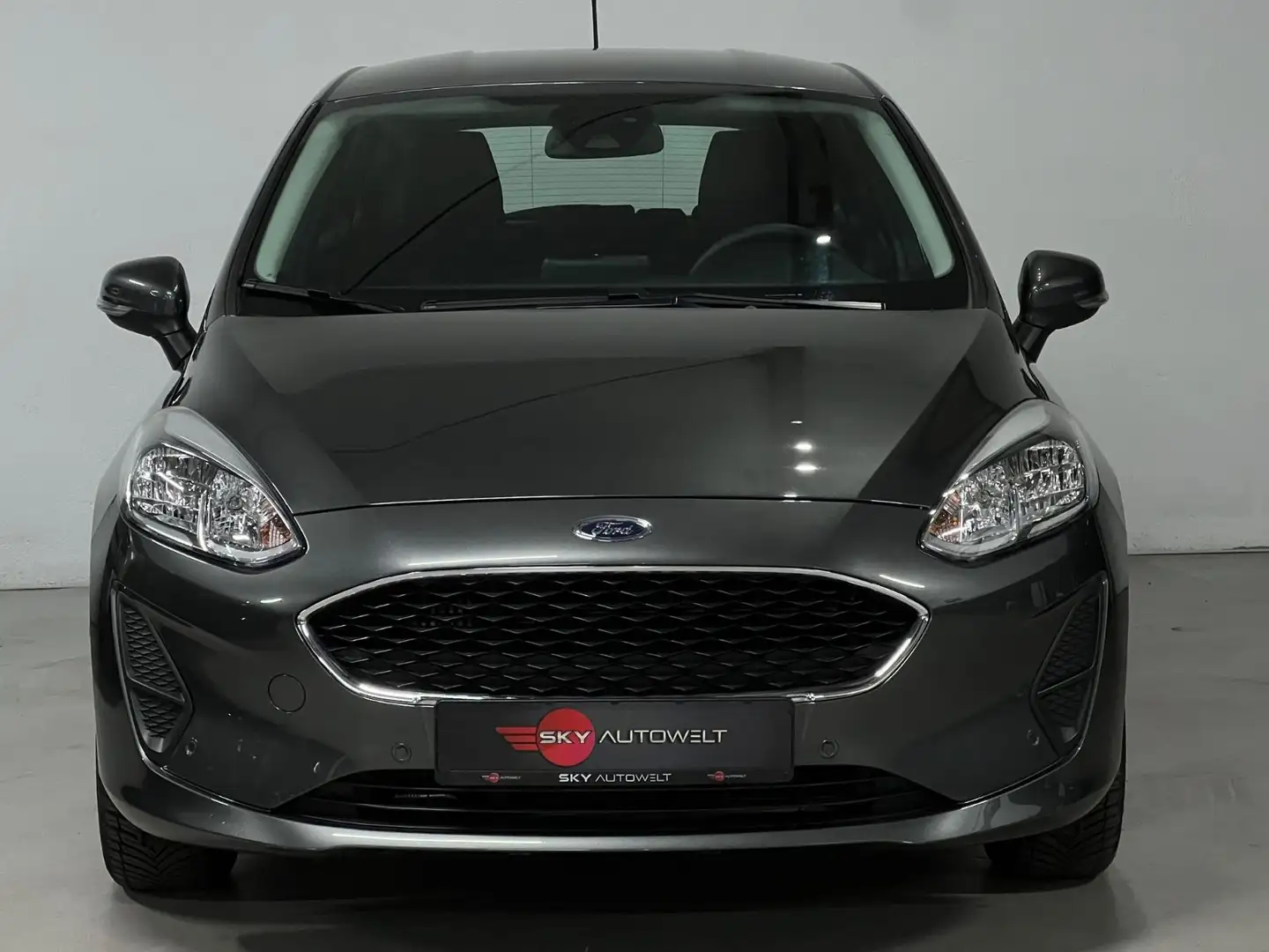 Ford Fiesta Cool & Connect/NAVI/DAB/2x PDC Grau - 1