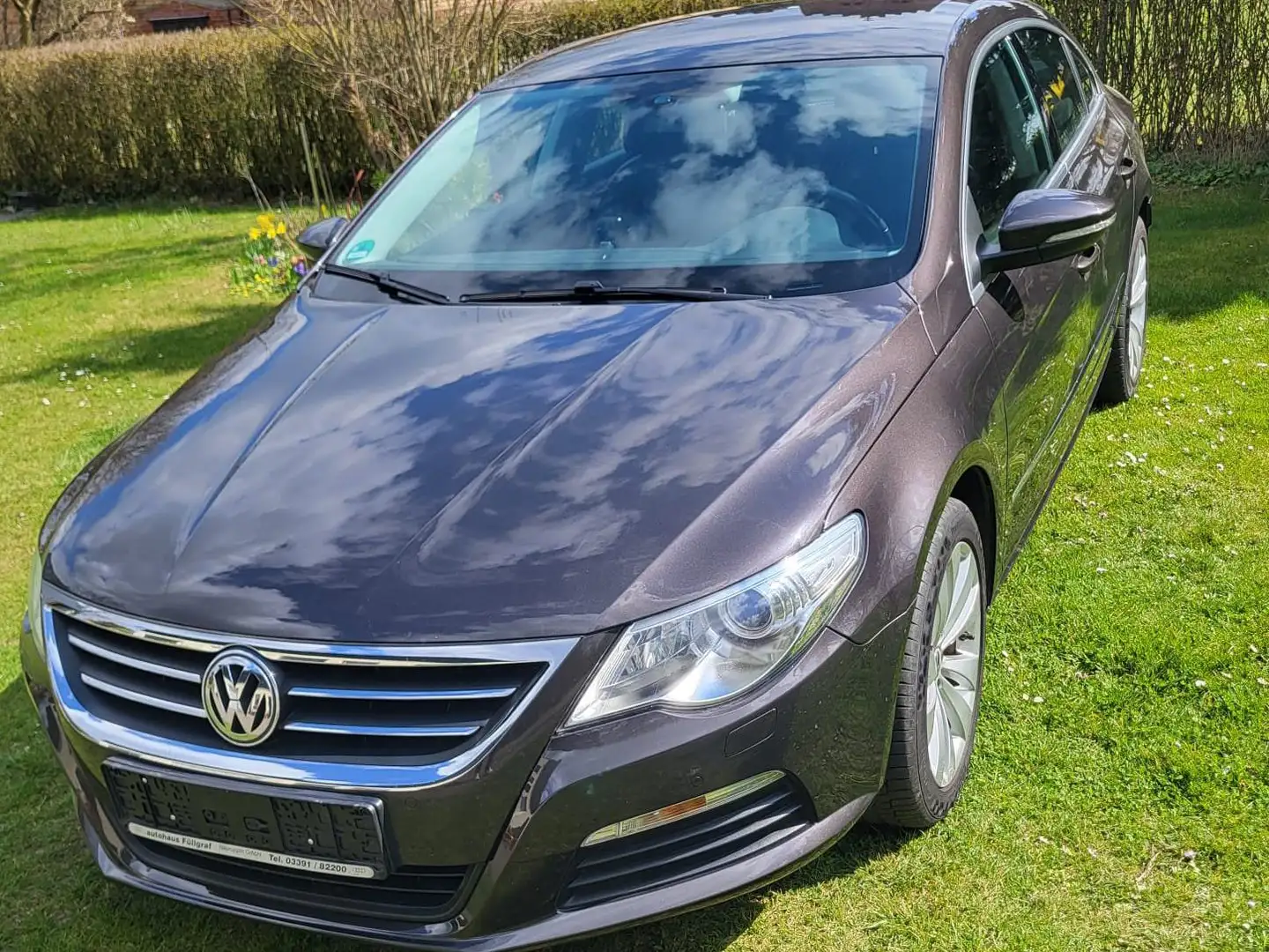 Volkswagen Passat CC Passat CC 1.8 TSI DSG Hnědá - 1