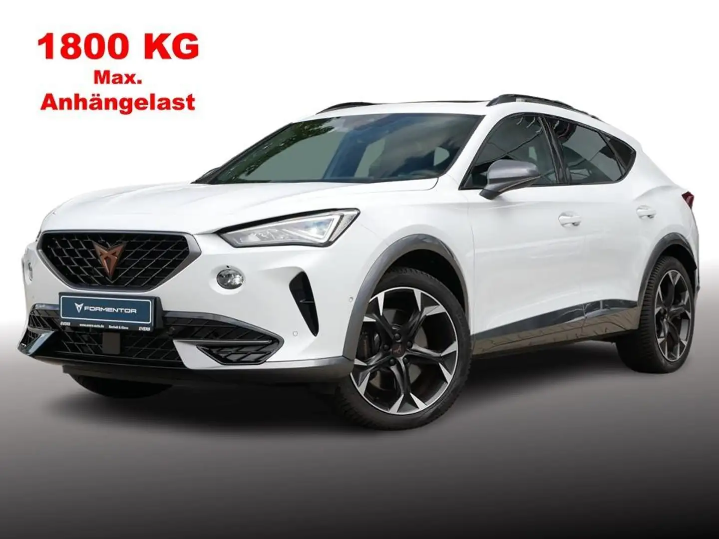CUPRA Formentor VZ 2.0 TSI DSG 4DRIVE LEDER+AHK+PANO Weiß - 2