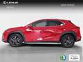 Lexus UX 250h 2.0 Business Rouge - thumbnail 3