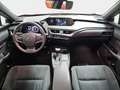 Lexus UX 250h 2.0 Business Rouge - thumbnail 14