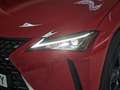 Lexus UX 250h 2.0 Business Rouge - thumbnail 28