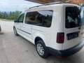 Volkswagen Caddy MAXI 7 SITZE DSG 4 MOTION XENON MULTI SHZ Blanc - thumbnail 7