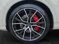 Audi SQ7 TFSI tiptronic quattro NaviPlus Matrix mit Lase... Beige - thumbnail 5