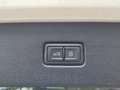 Audi SQ7 TFSI tiptronic quattro NaviPlus Matrix mit Lase... Beige - thumbnail 15