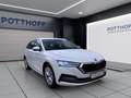 Skoda Octavia Combi 2.0 TDI DSG STYLE AHK PDC SITZHZG Weiß - thumbnail 6