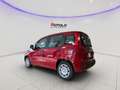 Fiat Panda 1.0 FireFly S&S Hybrid SENZA FINANZIAMENTO Rosso - thumbnail 4
