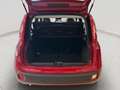 Fiat Panda 1.0 FireFly S&S Hybrid SENZA FINANZIAMENTO Rosso - thumbnail 5