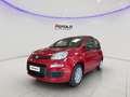 Fiat Panda 1.0 FireFly S&S Hybrid SENZA FINANZIAMENTO Rosso - thumbnail 10