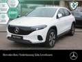 Mercedes-Benz EQA 250 PROG+ADVANCED+KAMERA+SPUR Blanc - thumbnail 1