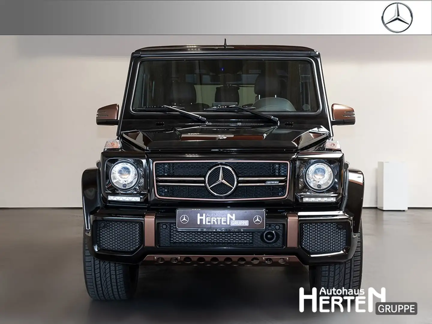 Mercedes-Benz G 65 AMG Mercedes-AMG G 65 FINAL EDITION+Standhzg.+Kamera Czarny - 2