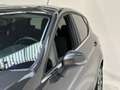 Ford Fiesta Fiesta 1.0 Ecoboost Hybrid 125 CV 5 porte Titanium Gris - thumbnail 19