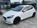 Mazda 2 2 Lim. Kizoku *Navi*LED*Kamera*PDC* Blanc - thumbnail 14