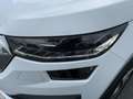 Skoda Kodiaq 2.0 TSI 4x4 DSG STYLE MATRIX+APP+GRA+SHZ Bianco - thumbnail 15