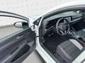 Volkswagen Golf GTI Golf VIII 2.0 TSI GTI Clubsport Performance Blac Bianco - thumbnail 15