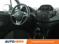 Ford Tourneo 1.0 EcoBoost Titanium Černá - thumbnail 13