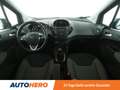 Ford Tourneo 1.0 EcoBoost Titanium Černá - thumbnail 12