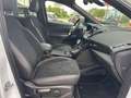 Ford Kuga ST-Line 4x4 PDC+SHZ+LENK-HZ+1.HAND Weiß - thumbnail 12
