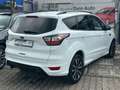 Ford Kuga ST-Line 4x4 PDC+SHZ+LENK-HZ+1.HAND Weiß - thumbnail 4