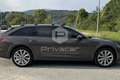 Audi A6 allroad A6 allroad 40 TDI 2.0 quattro S tronic Evolution Marrone - thumbnail 4