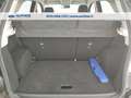Ford EcoSport 1.0 ecoboost ST-line 100cv my19 Gris - thumbnail 20