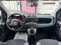 Fiat Panda 0.9 TwinAir Turbo S&S 4x4 Bianco - thumbnail 12