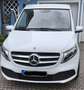 Mercedes-Benz V 250 V 250 d extralang 4Matic 9G-TRONIC Edition 2020 Weiß - thumbnail 4