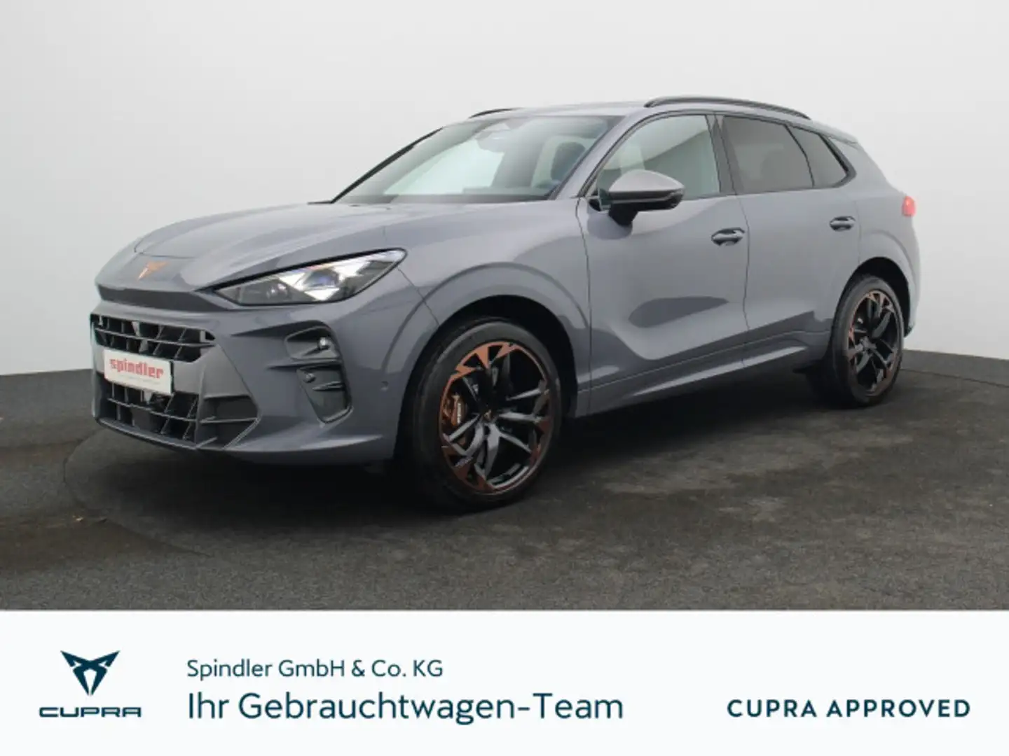 CUPRA Terramar VZ 2.0 TSI 4Drive DSG / Matrix, Pano Grau - 1