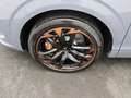 CUPRA Terramar VZ 2.0 TSI 4Drive DSG / Matrix, Pano Grau - thumbnail 15