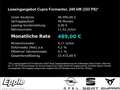 CUPRA Formentor VZ 2.0 TSI 245 kW (333 PS) 7-Gang DSG 4Drive AHK S Grau - thumbnail 4