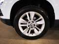 Skoda Karoq - Karoq 1.0 TSI 110 CV Ambition Bianco - thumbnail 14