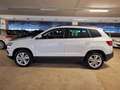 Skoda Karoq - Karoq 1.0 TSI 110 CV Ambition Bianco - thumbnail 3
