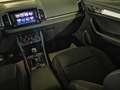 Skoda Karoq - Karoq 1.0 TSI 110 CV Ambition Bianco - thumbnail 13