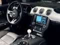Ford Mustang (6) Convertible V8 BVM6 GT Schwarz - thumbnail 16