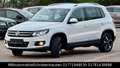 Volkswagen Tiguan Sport & Style 4Motion LED AHK XENON Weiß - thumbnail 5