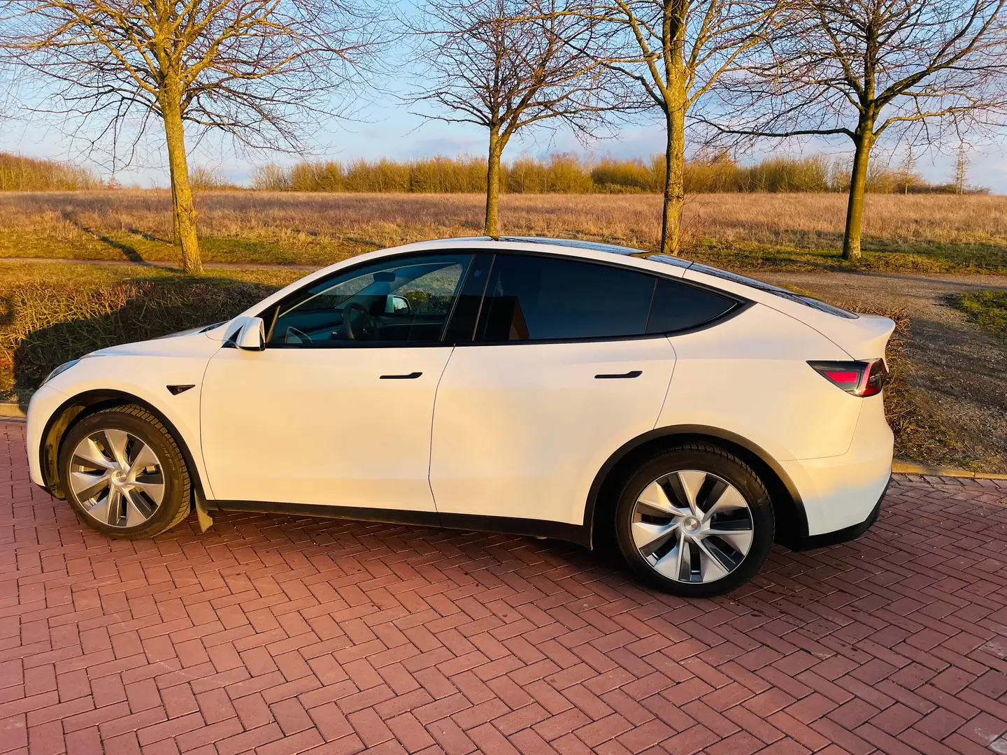 Tesla Model Y RWD, inkl. original Tesla-Winterreifen mit Felgen Weiß - 2