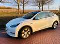 Tesla Model Y RWD, inkl. original Tesla-Winterreifen mit Felgen Weiß - thumbnail 7