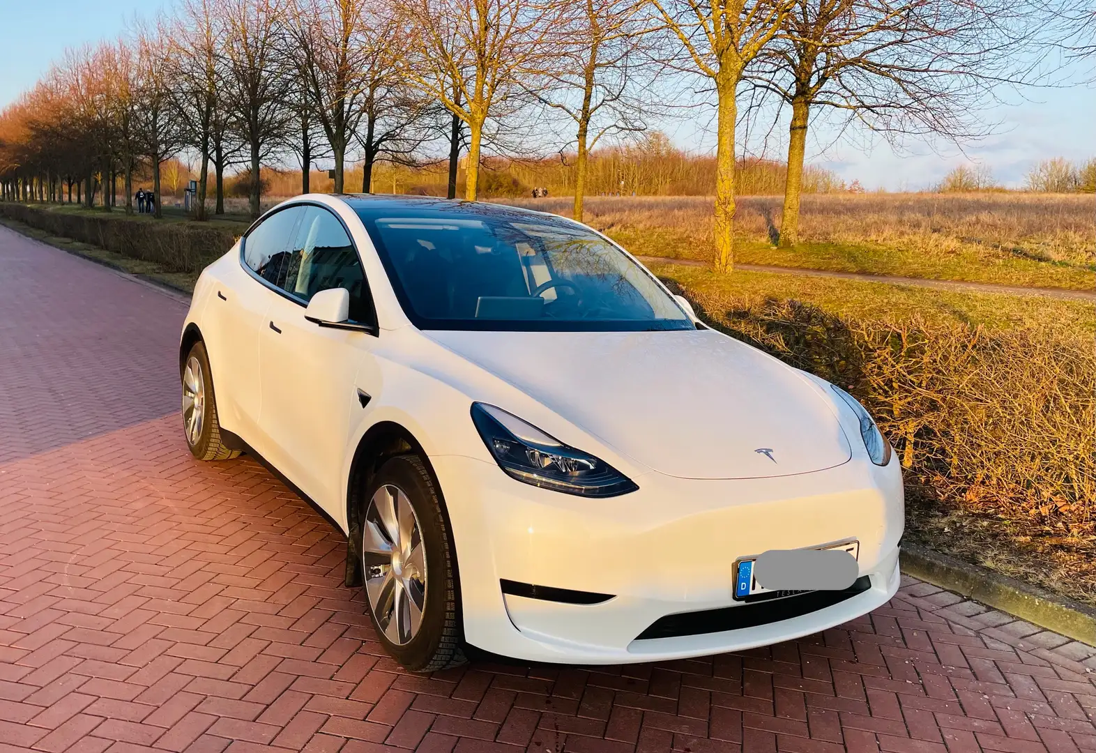 Tesla Model Y RWD, inkl. original Tesla-Winterreifen mit Felgen Weiß - 1